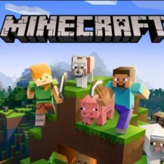 Published & copyrighted by Mojang Minecraft